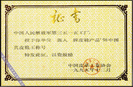 【3515强人】96真皮鞋王